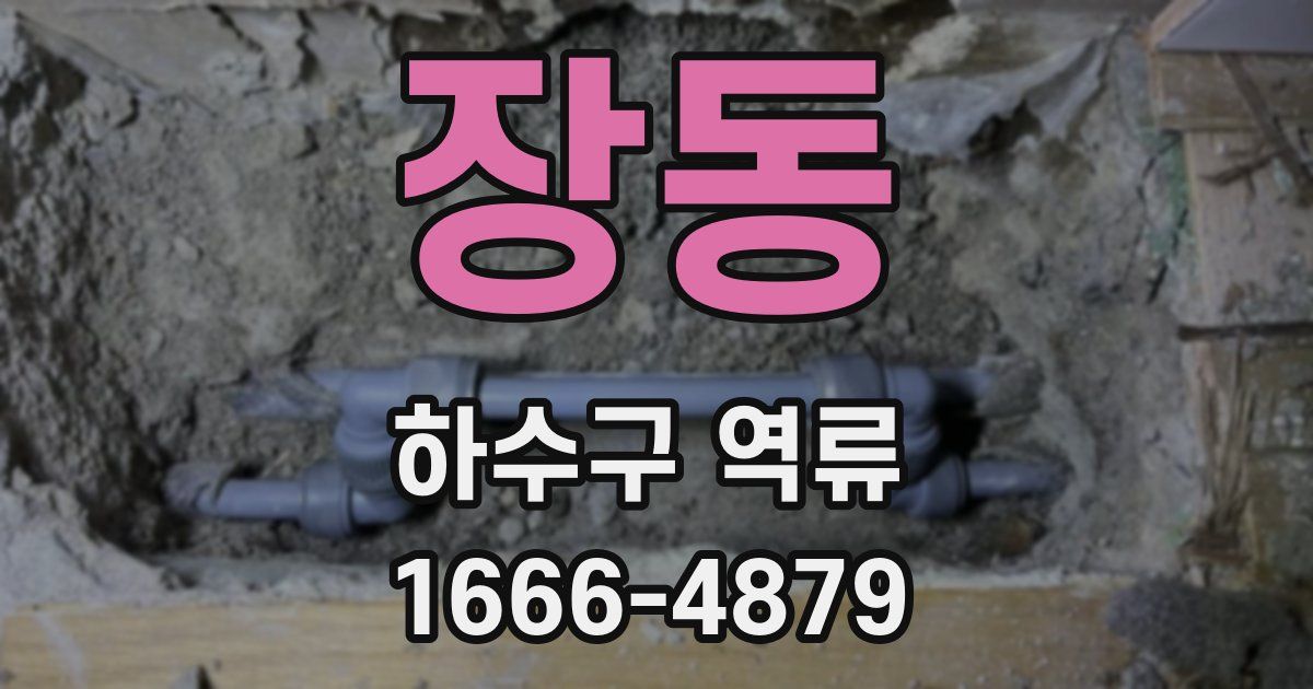 장동 하수구 역류