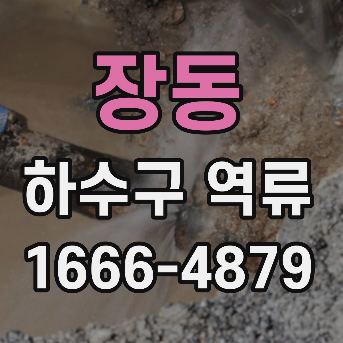 장동 하수구 역류
