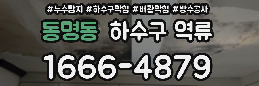 동명동 하수구 역류