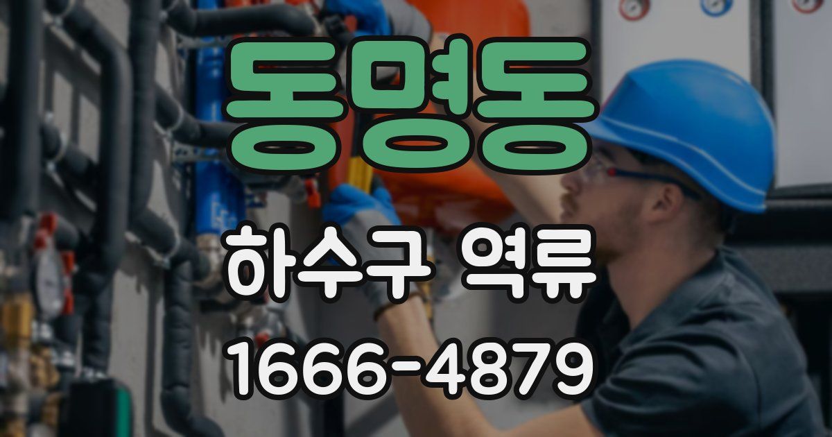 동명동 하수구 역류