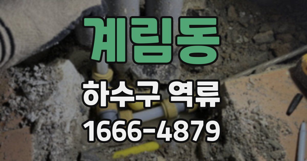 계림동 하수구 역류