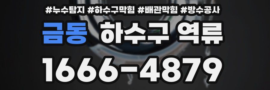 금동 하수구 역류