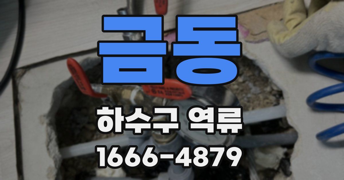 금동 하수구 역류
