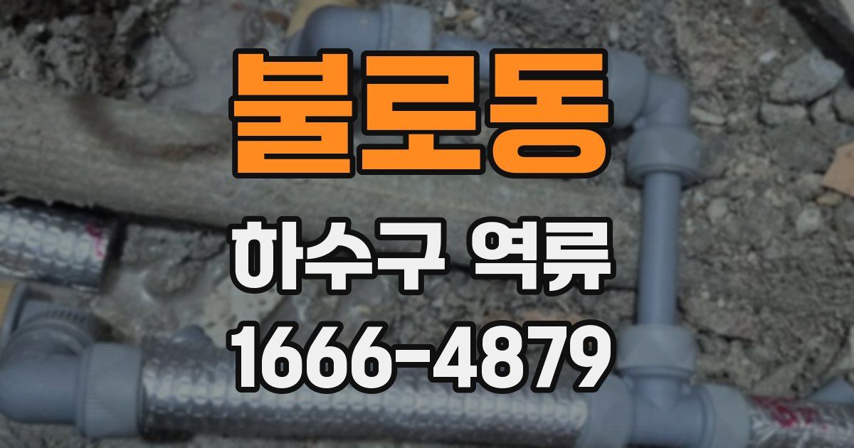 불로동 하수구 역류