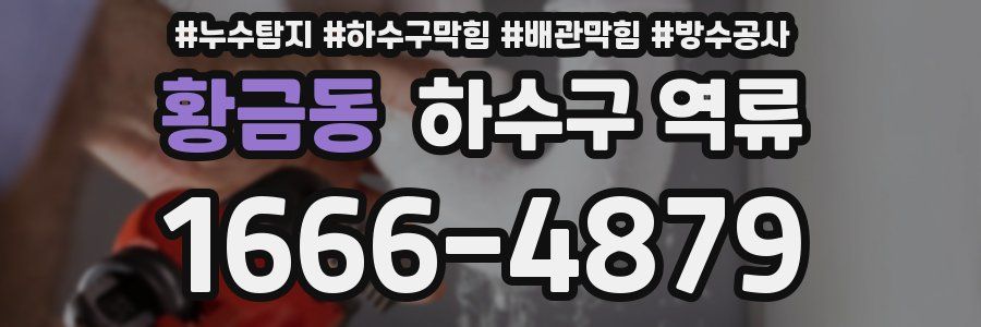 황금동 하수구 역류