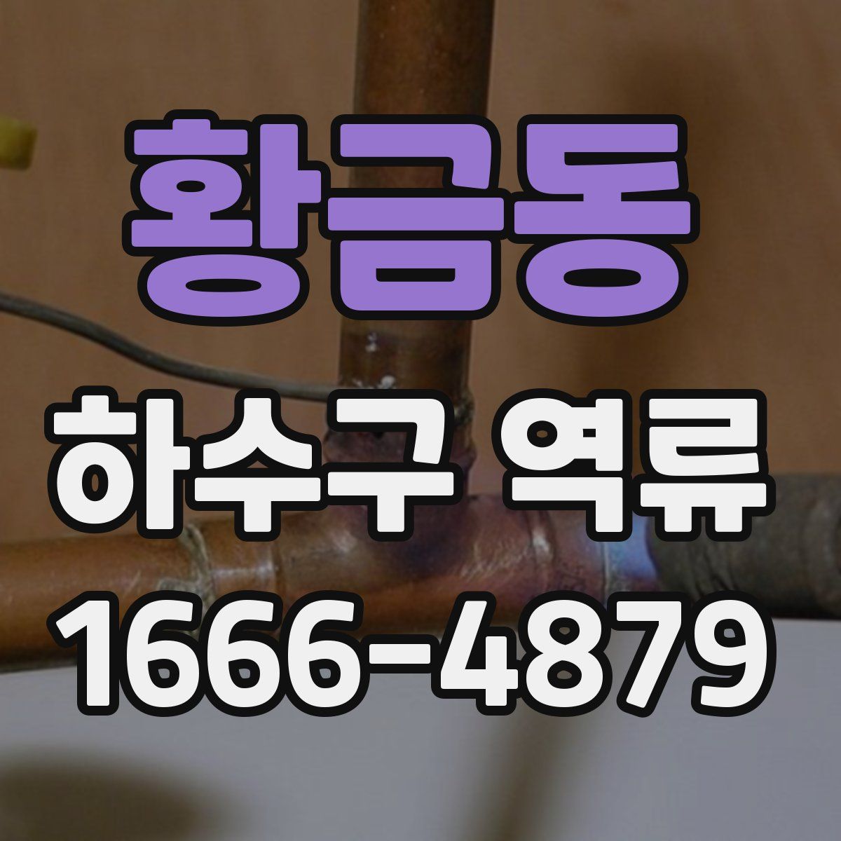 황금동 하수구 역류