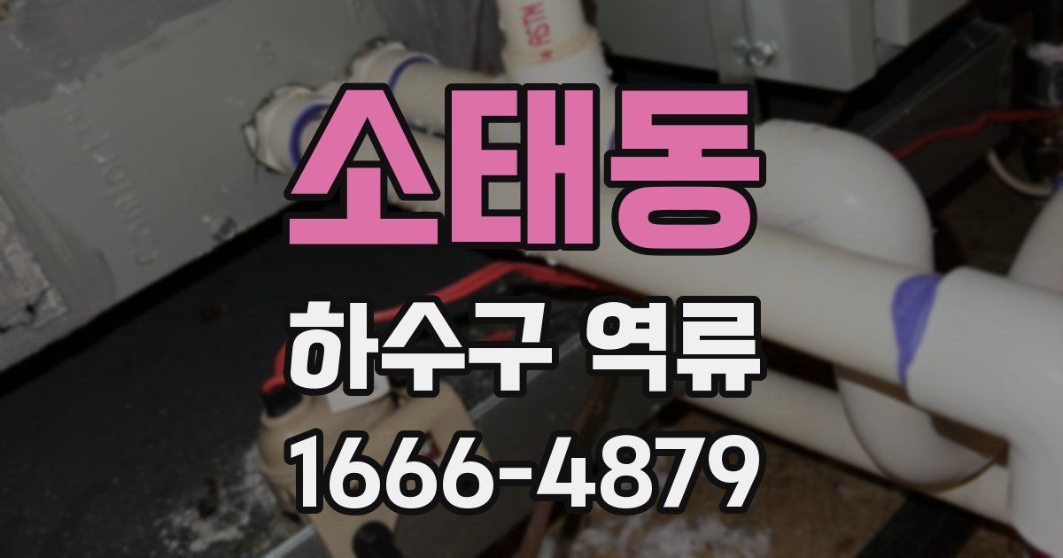 소태동 하수구 역류