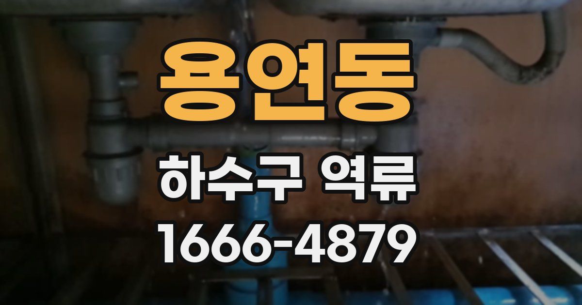 용연동 하수구 역류