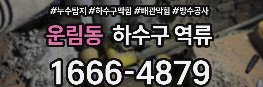 운림동 하수구 역류