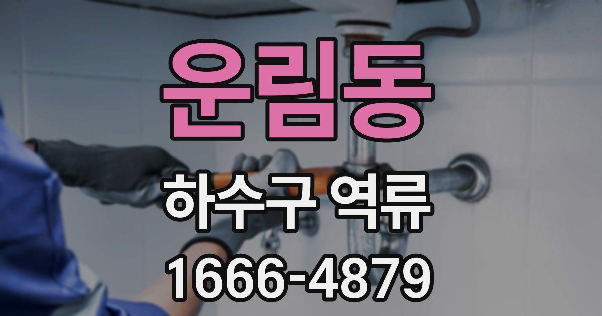 운림동 하수구 역류