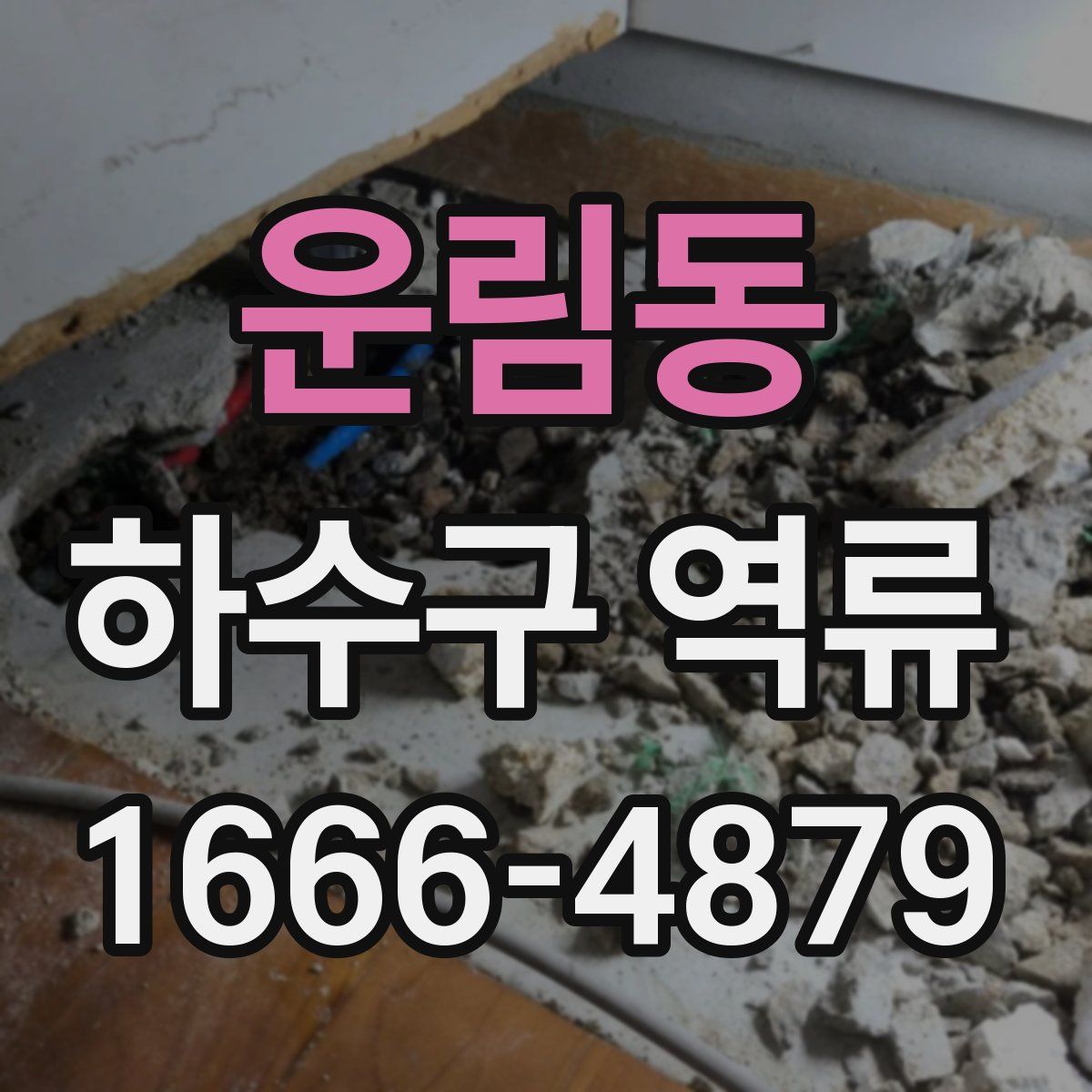 운림동 하수구 역류