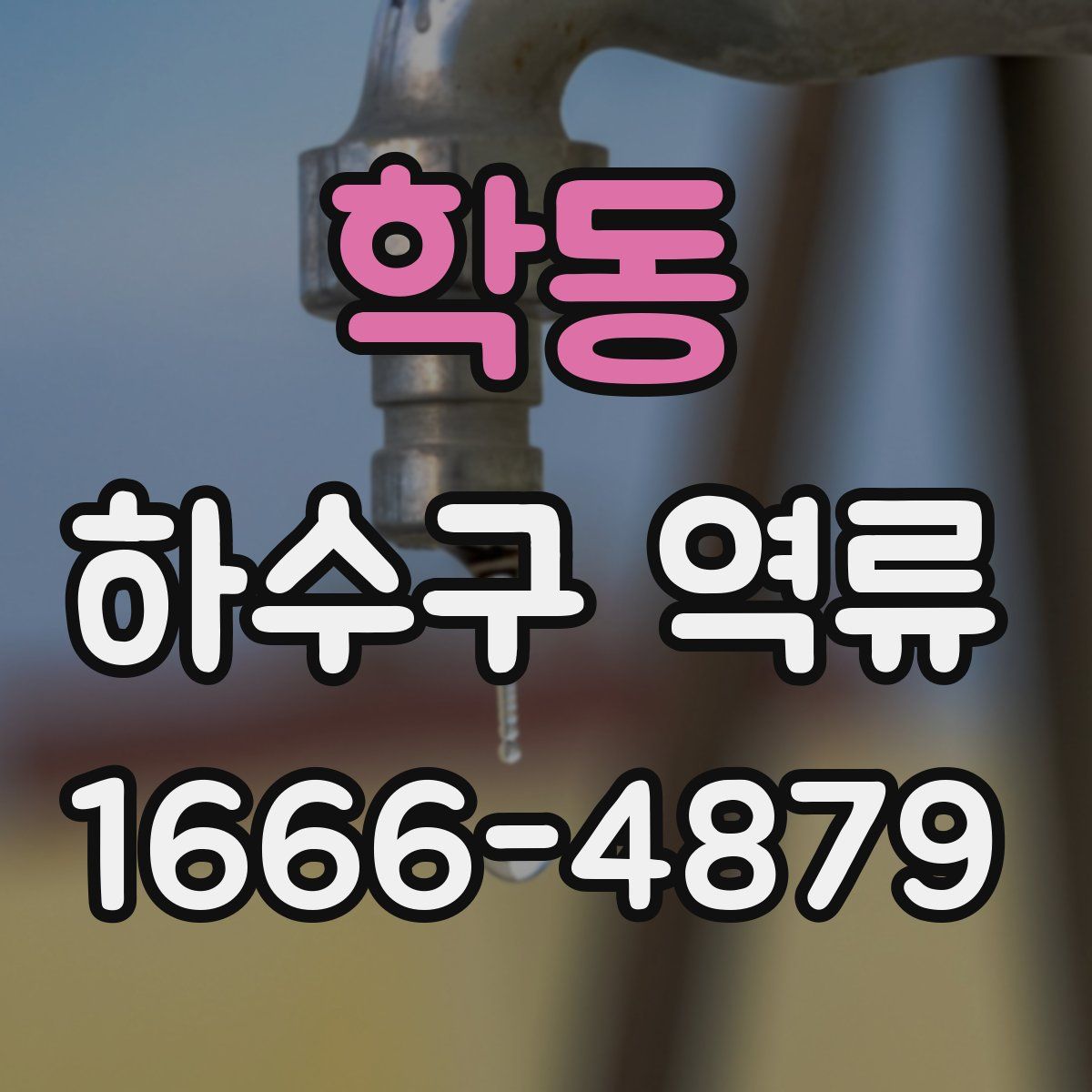 학동 하수구 역류
