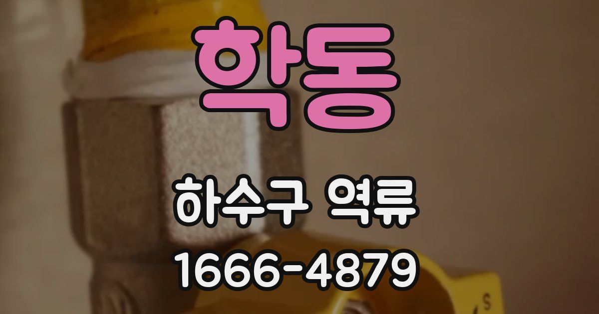 학동 하수구 역류