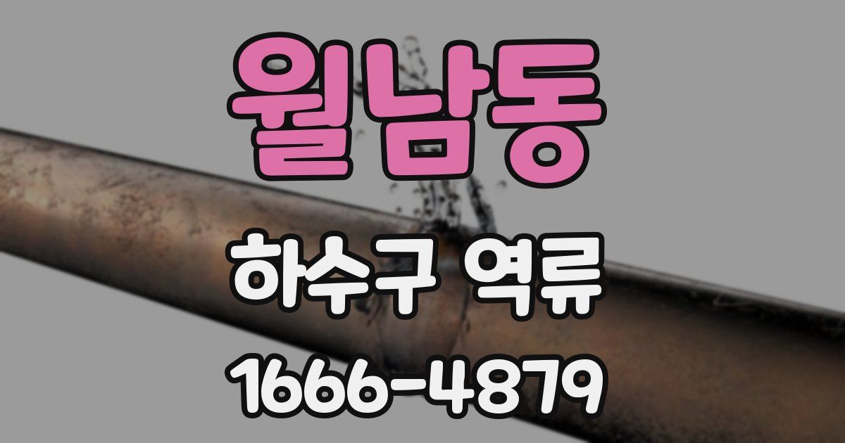 월남동 하수구 역류