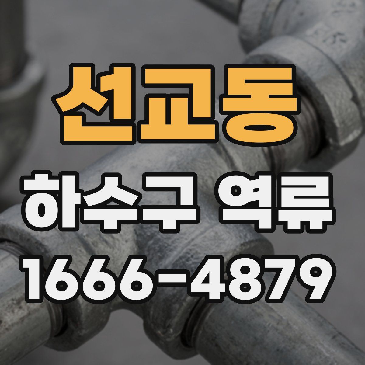 선교동 하수구 역류