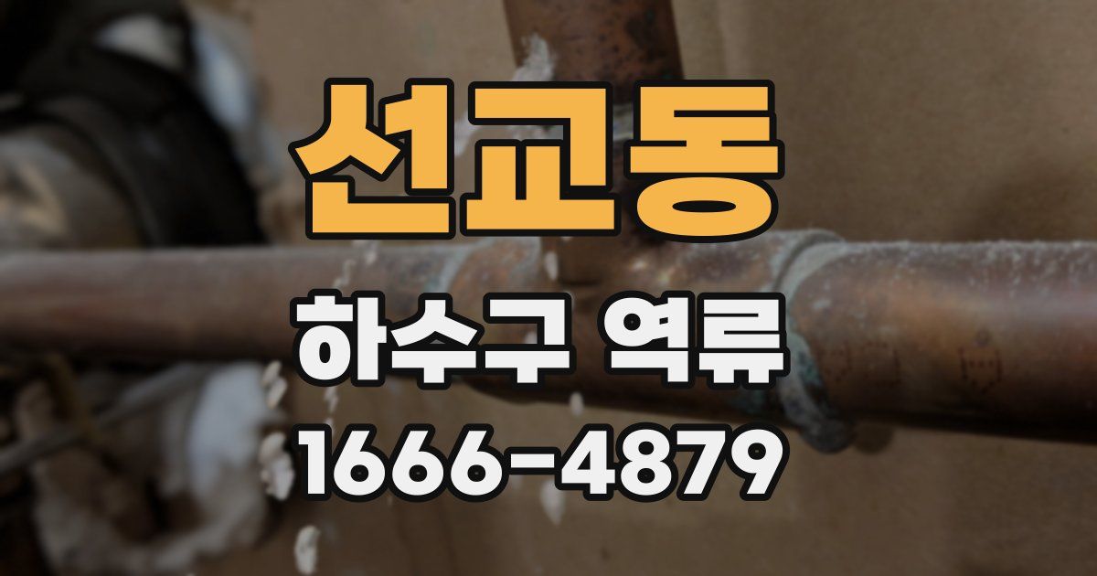선교동 하수구 역류