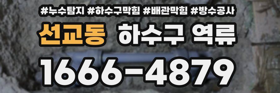 선교동 하수구 역류