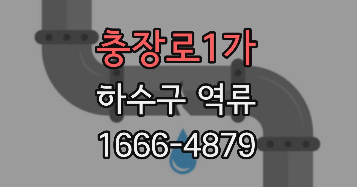 충장로1가 하수구 역류