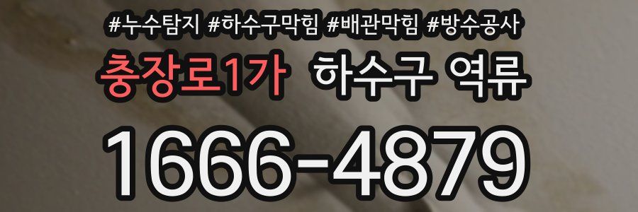 충장로1가 하수구 역류