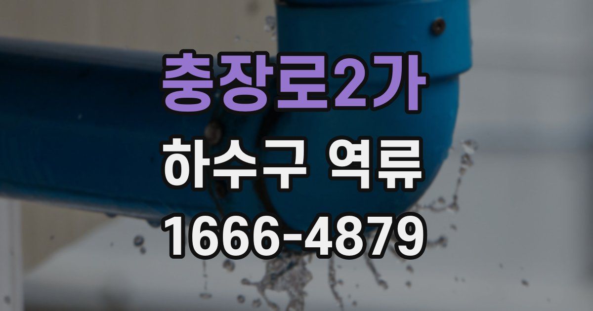 충장로2가 하수구 역류