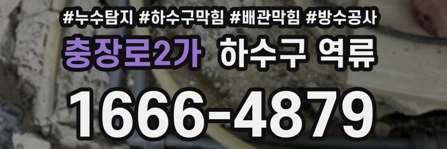 충장로2가 하수구 역류
