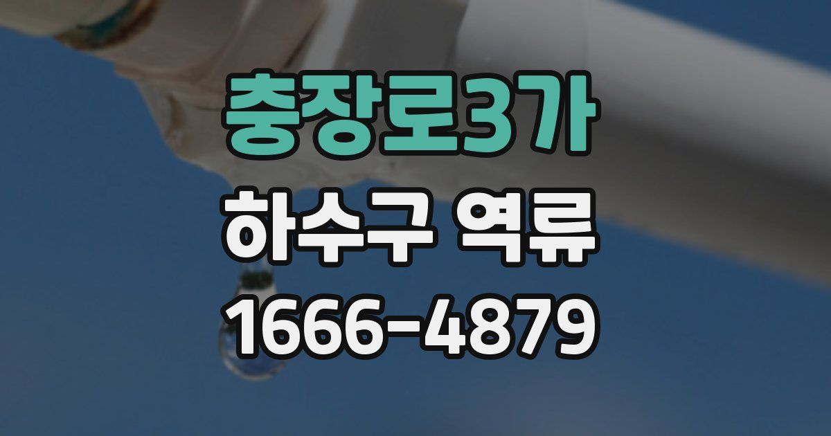 충장로3가 하수구 역류