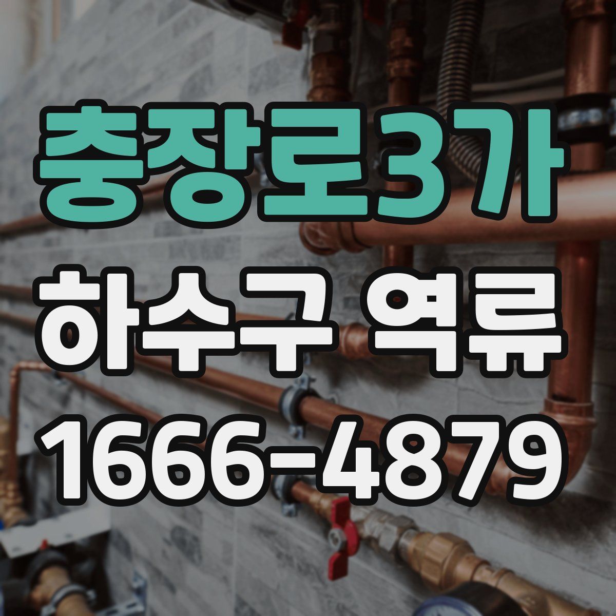 충장로3가 하수구 역류