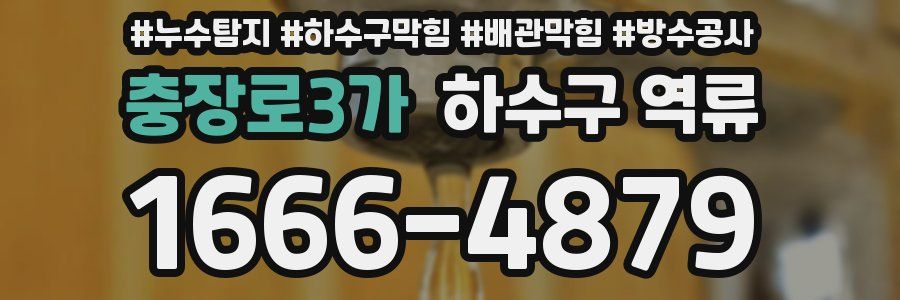 충장로3가 하수구 역류