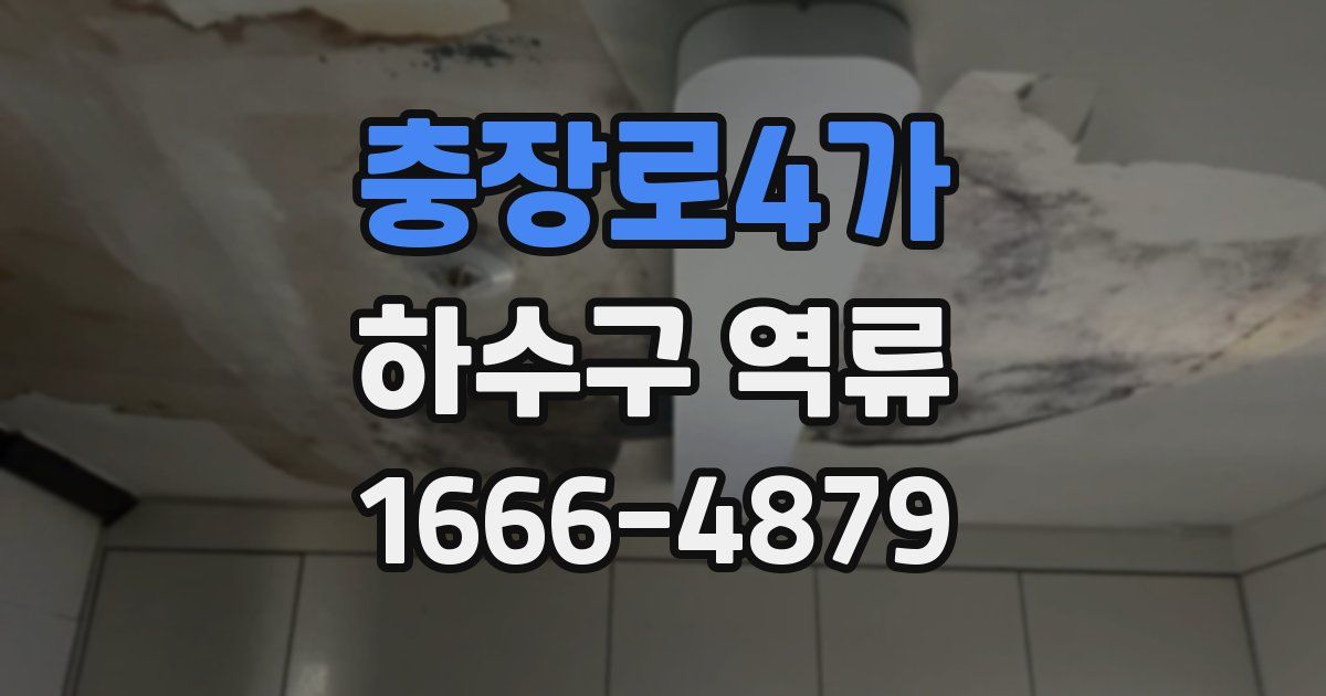 충장로4가 하수구 역류