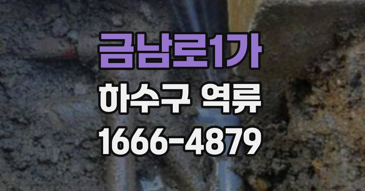 금남로1가 하수구 역류