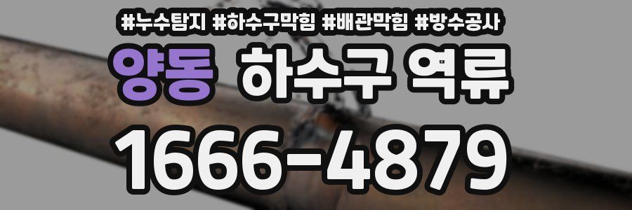 양동 하수구 역류