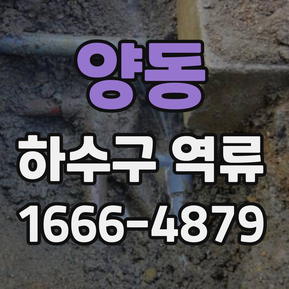 양동 하수구 역류