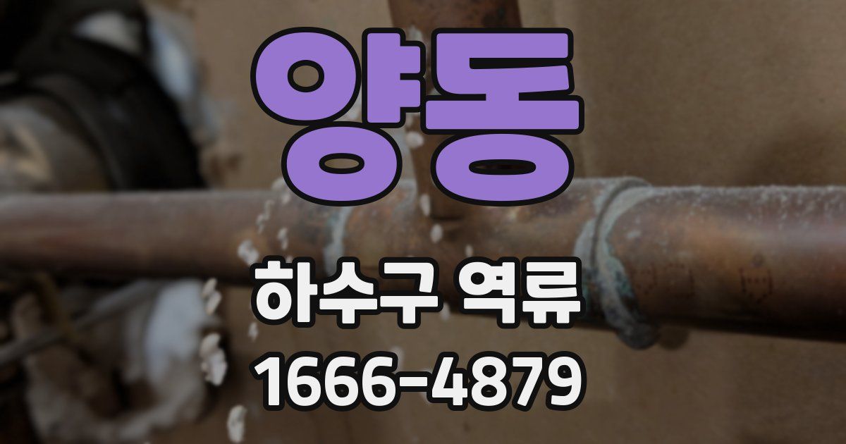 양동 하수구 역류