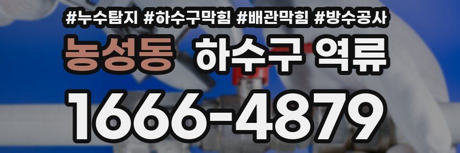 농성동 하수구 역류