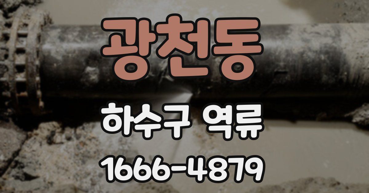광천동 하수구 역류