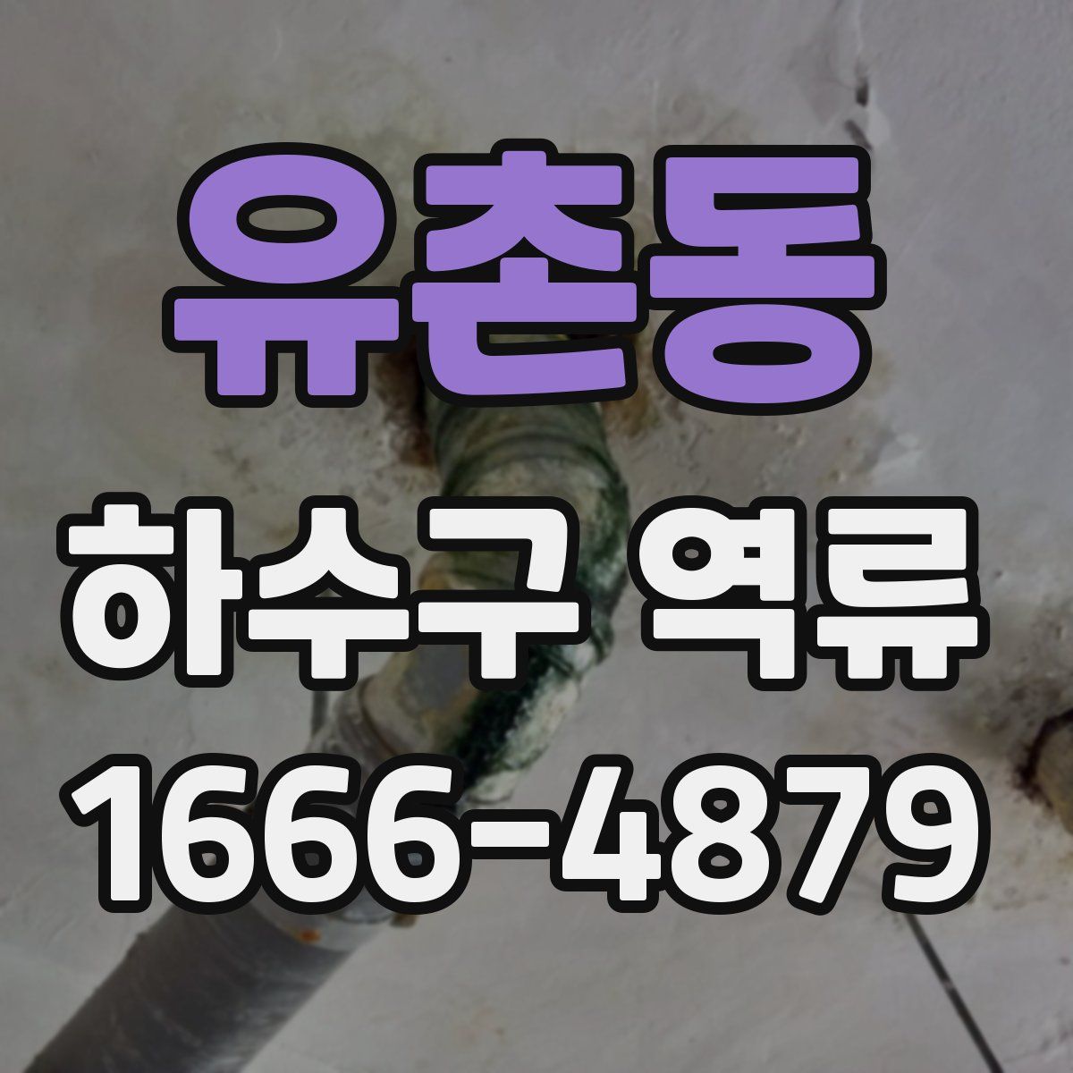 유촌동 하수구 역류