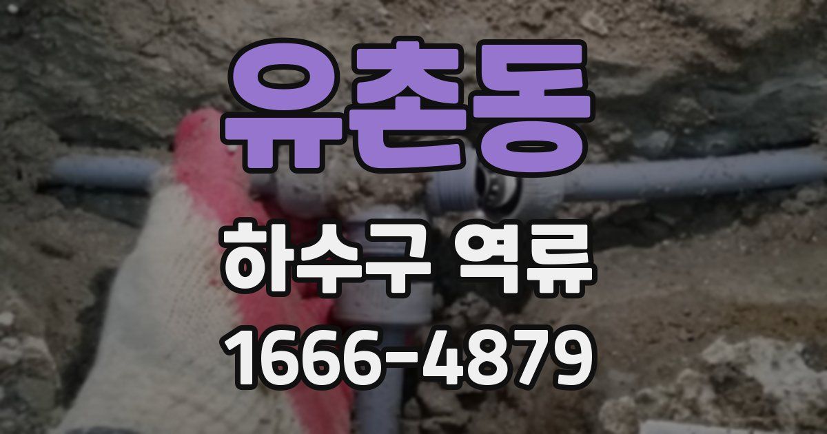 유촌동 하수구 역류