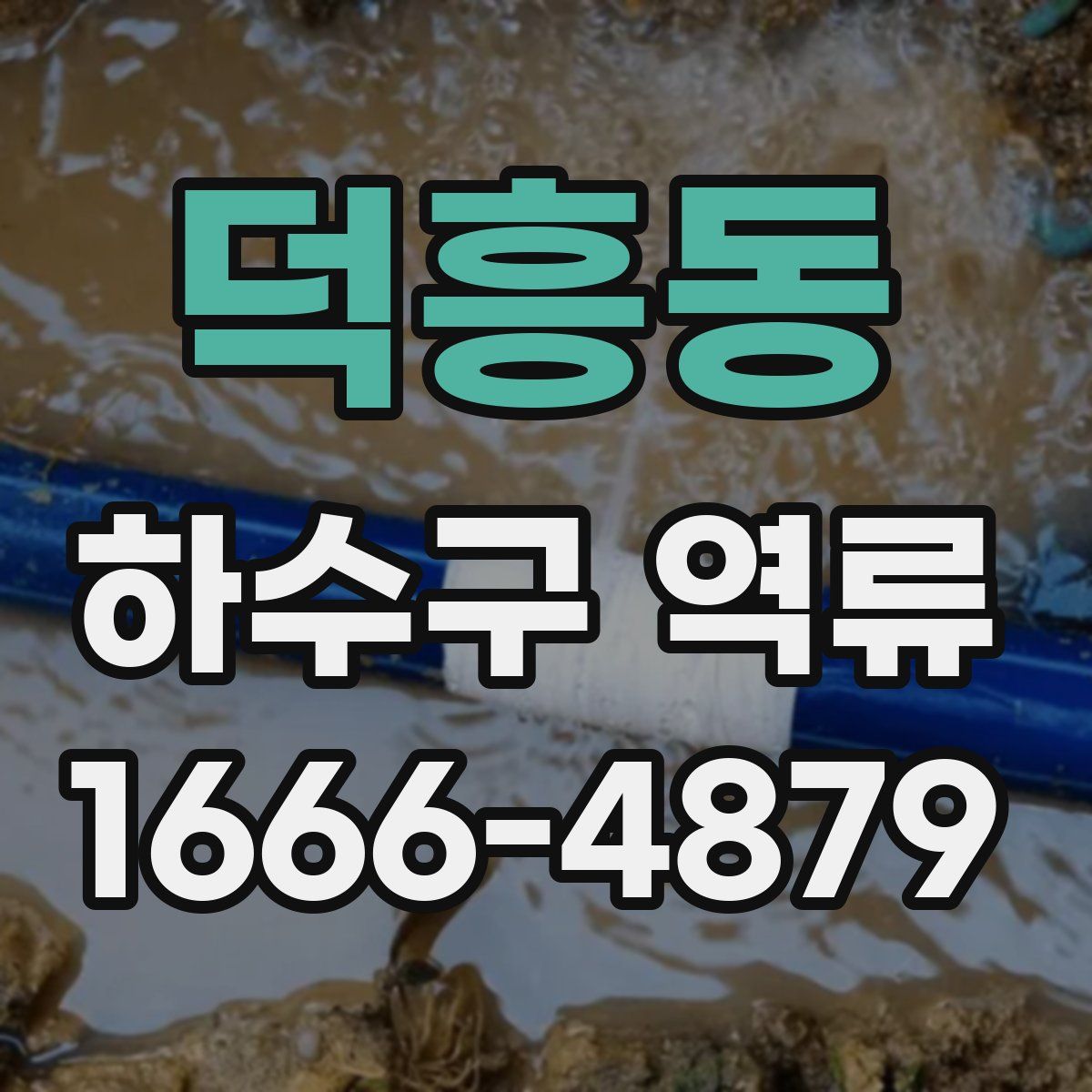 덕흥동 하수구 역류