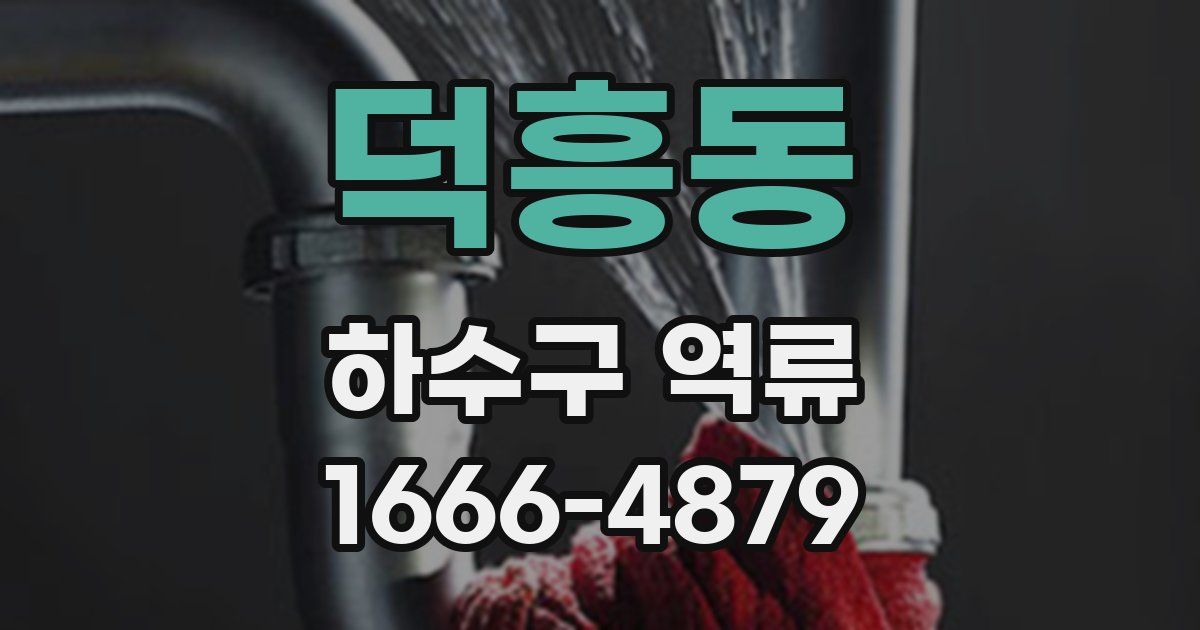덕흥동 하수구 역류