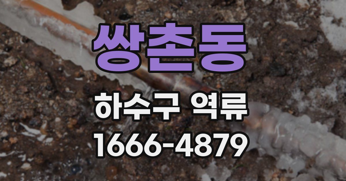 쌍촌동 하수구 역류