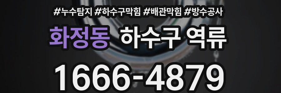 화정동 하수구 역류