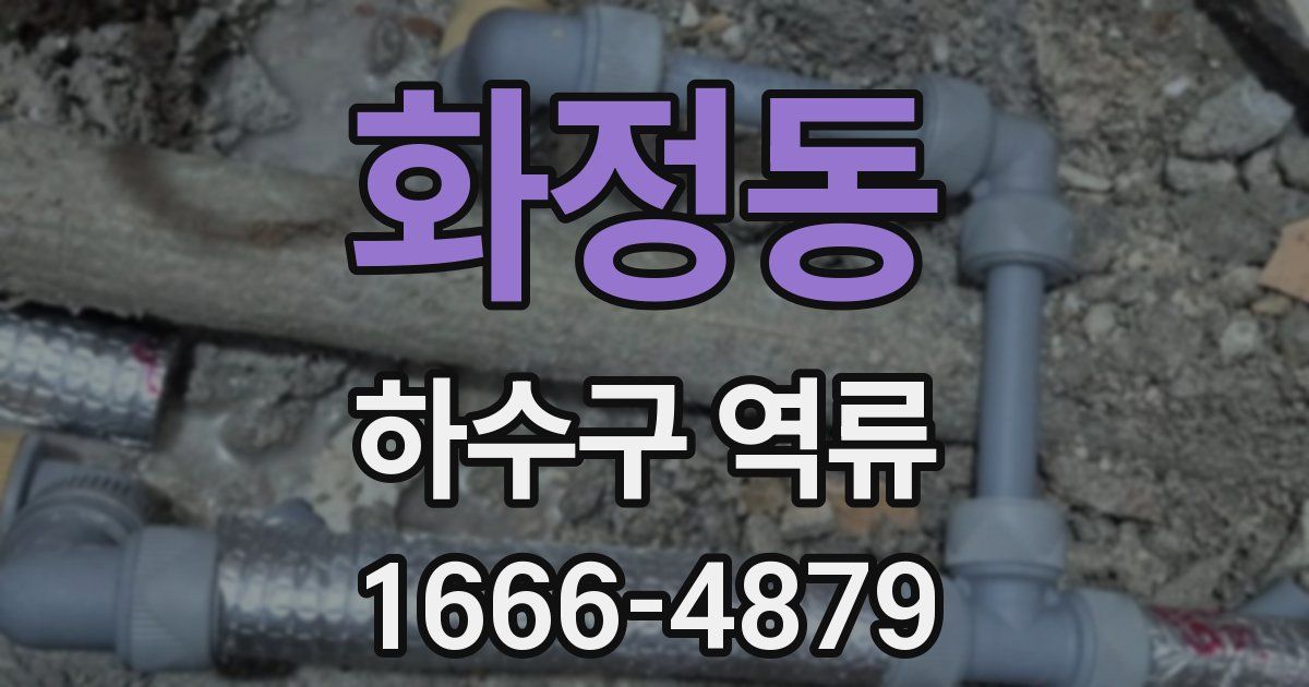 화정동 하수구 역류