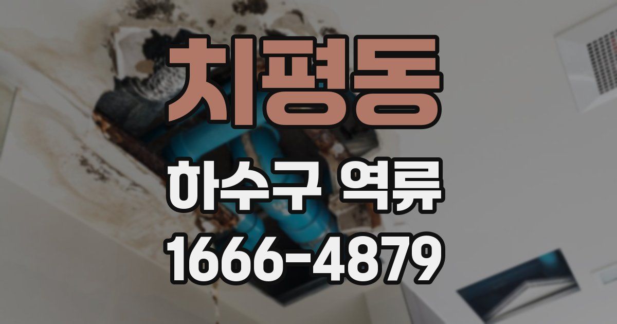 치평동 하수구 역류