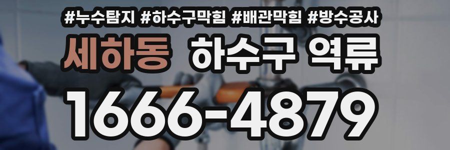 세하동 하수구 역류