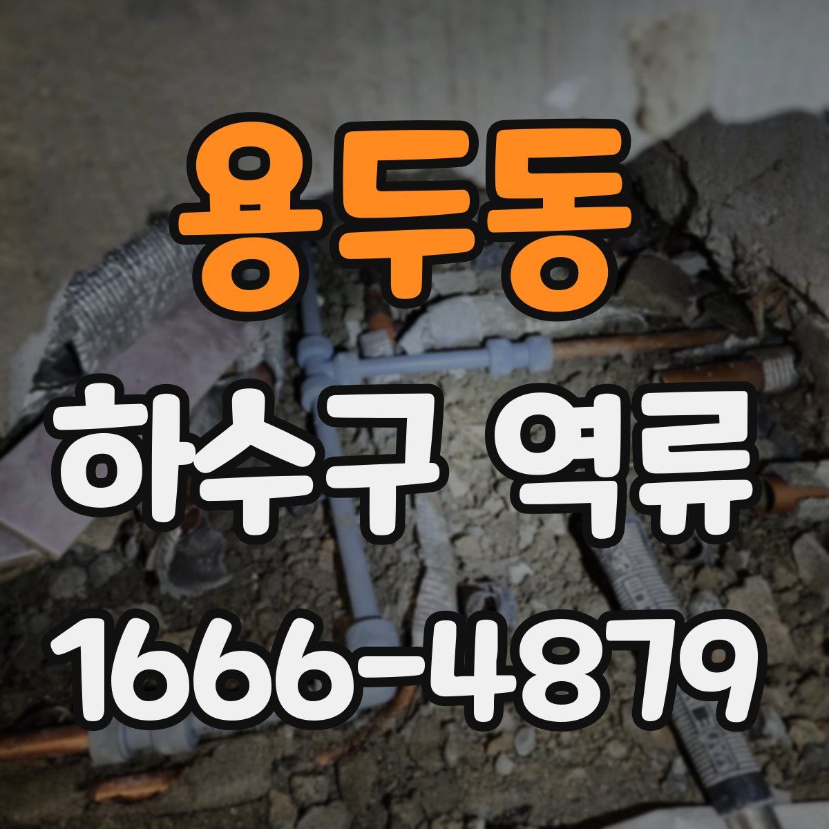 용두동 하수구 역류