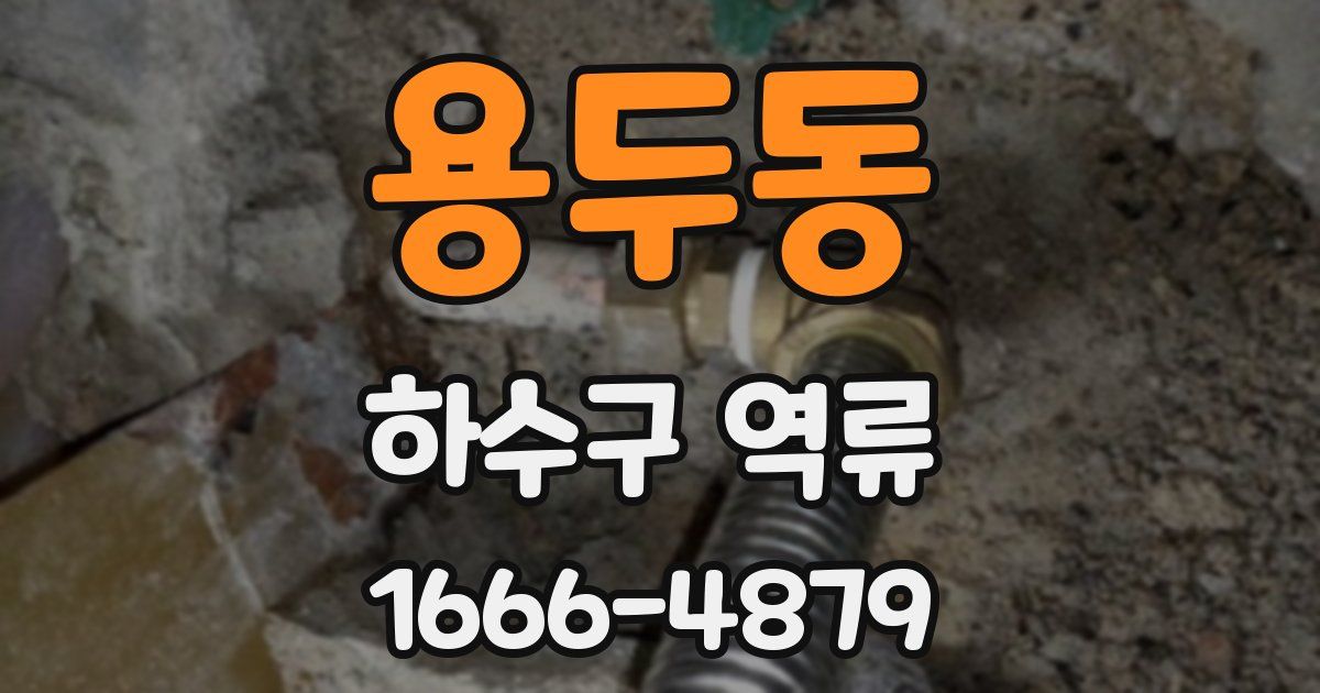 용두동 하수구 역류