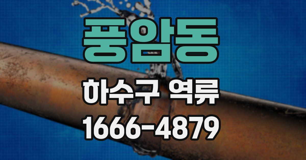 풍암동 하수구 역류