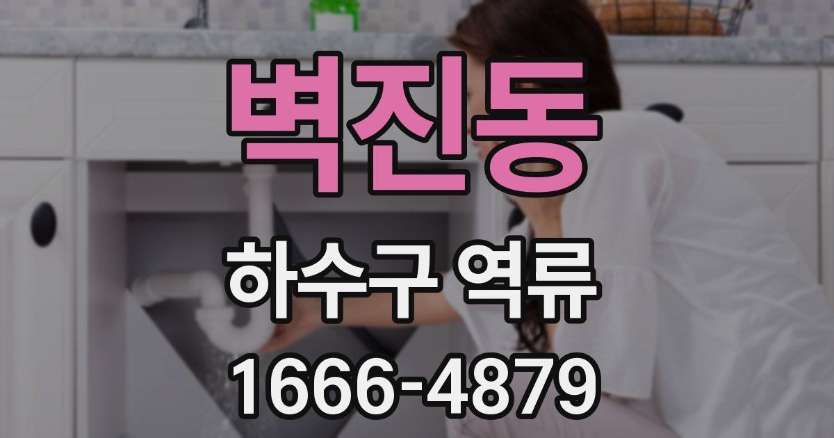 벽진동 하수구 역류