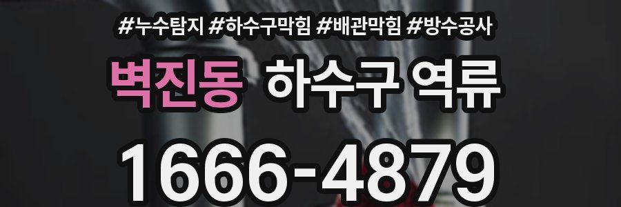 벽진동 하수구 역류