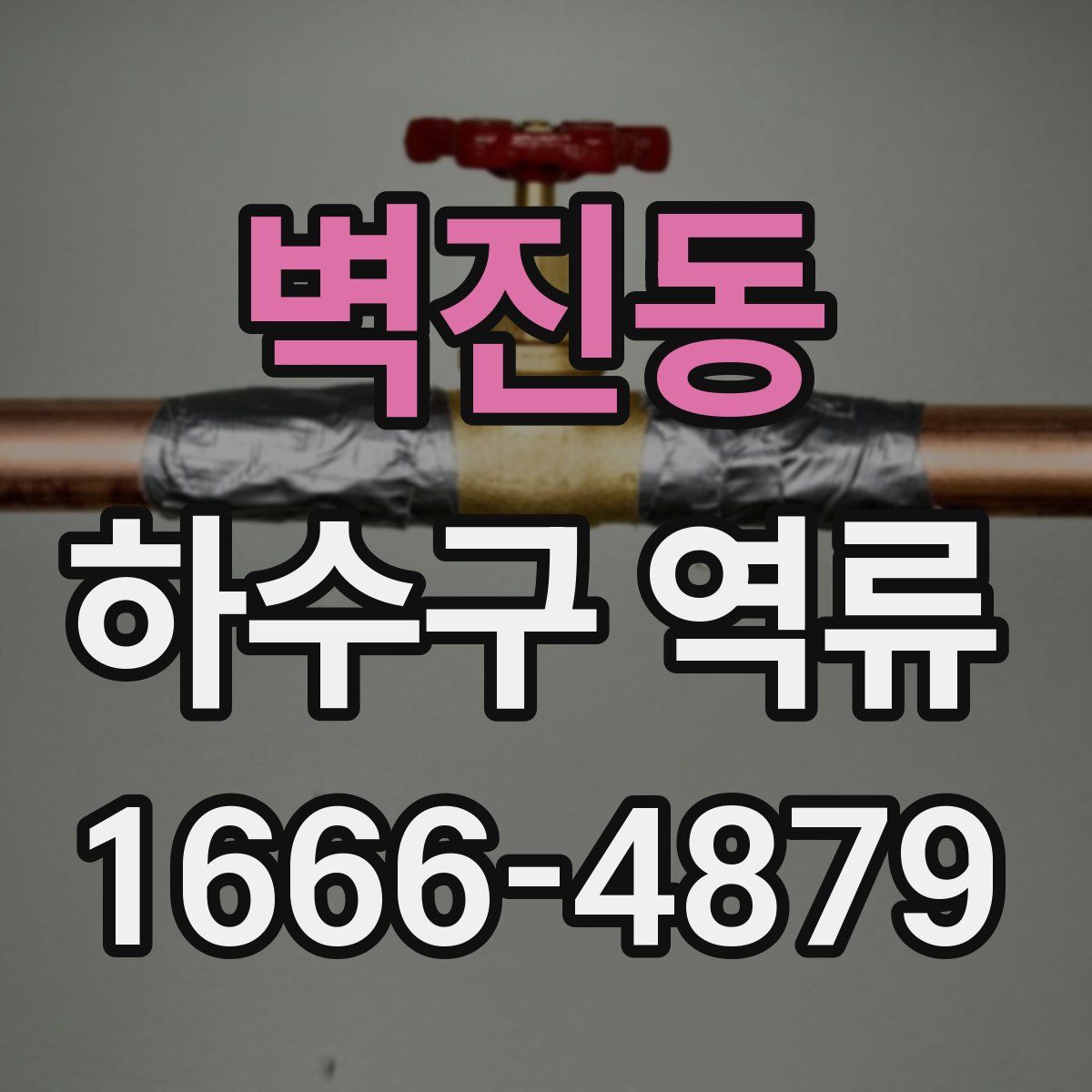 벽진동 하수구 역류